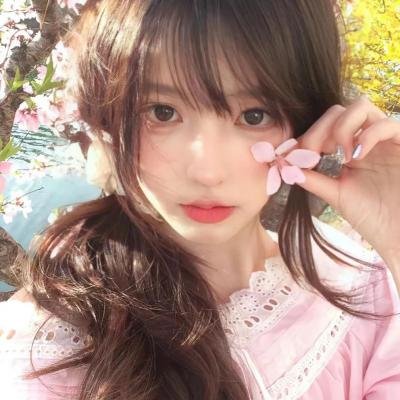 真相猜·情·寻